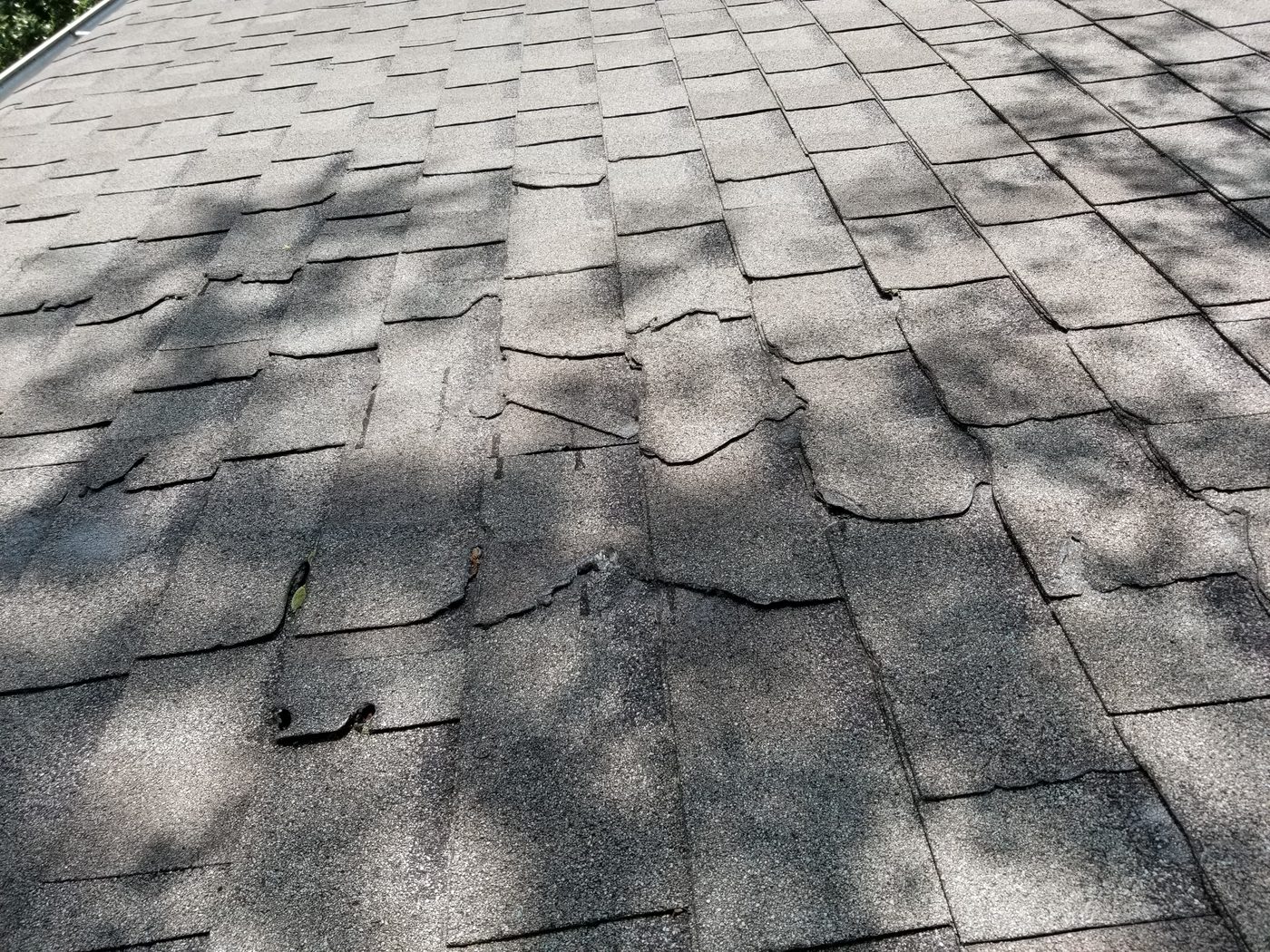 Asphalt shingle roof torn open by tree branches blown down in a thunderstorm